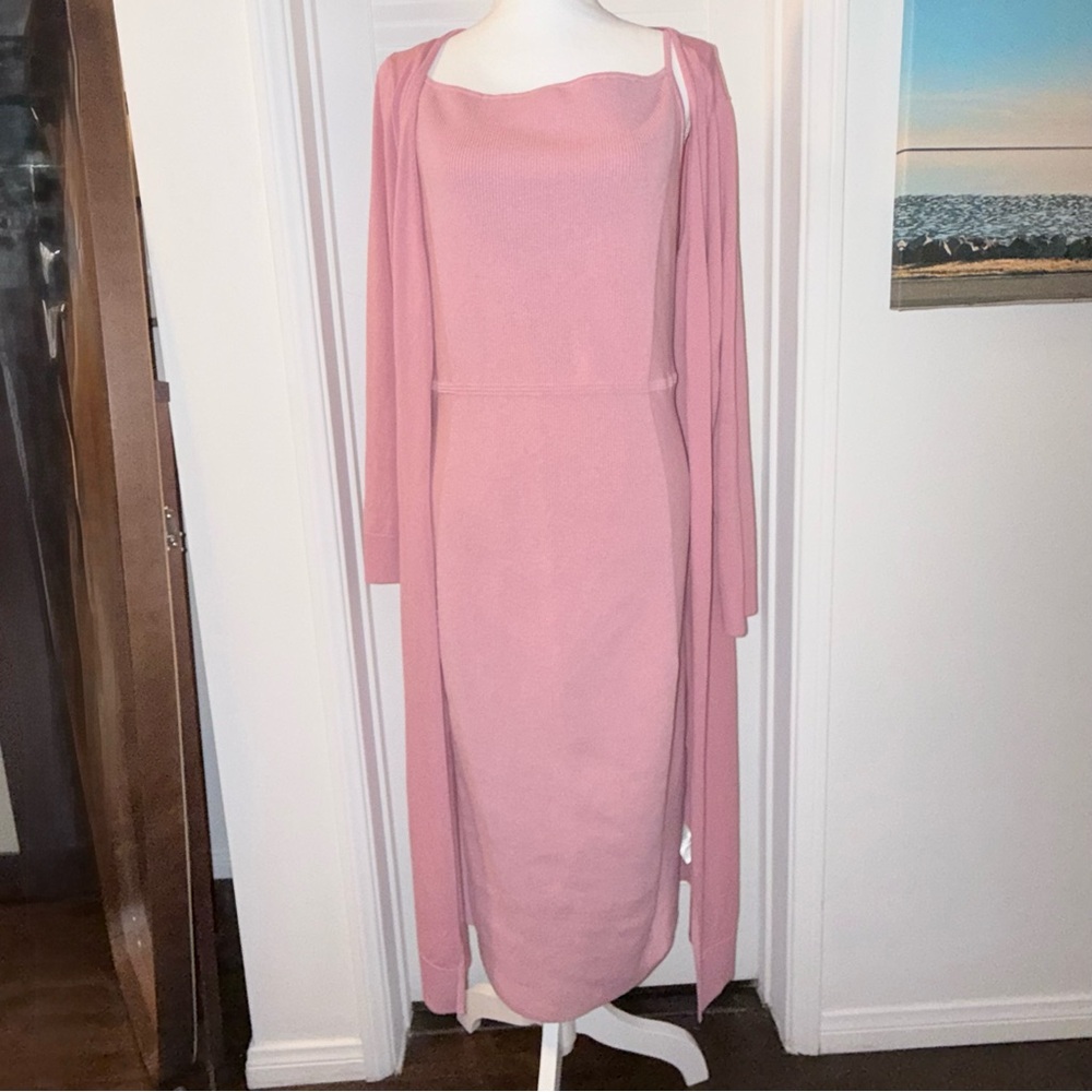 Express Body Contour Midi Sheath Dress and Matching Sweater